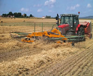 rotary swather rake