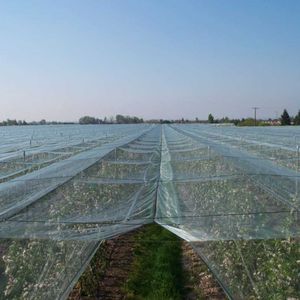 hail netting