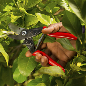 manual pruning shears 1