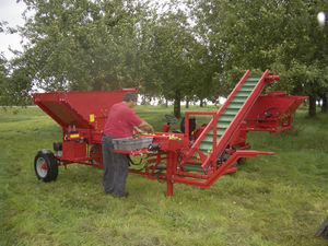 fruit sorter