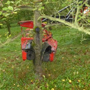 hydraulic trunk shaker