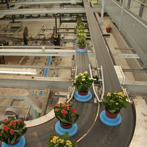 pot conveyor / belt