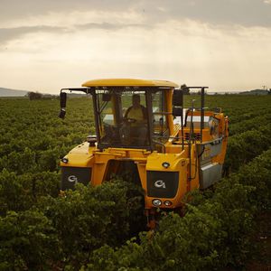 self-propelled wine harvester