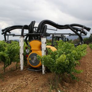 mounted sprayer / trailed / for viticulture / pneumatic