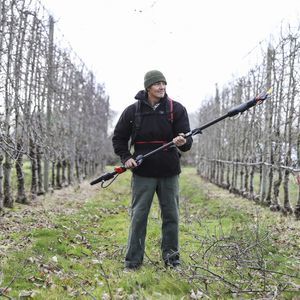 telescopic pruning shears