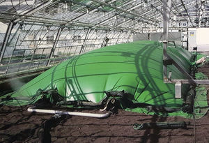 steam weeder