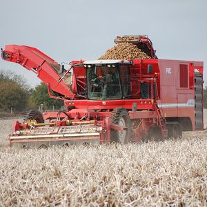 potato harvester machine