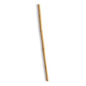 bamboo plant stake