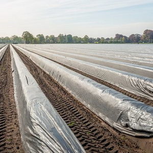 soil disinfection film