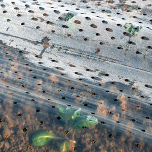 soil cover film