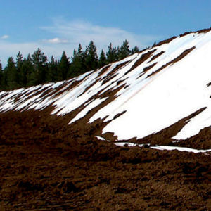 silage film 1