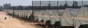 wind protection netting