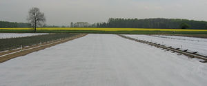 insect netting