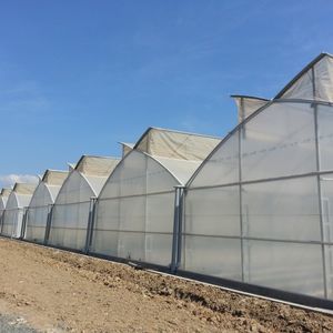 multi span greenhouse