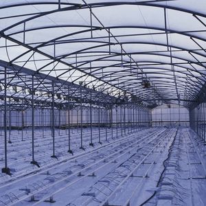 greenhouse sheeting