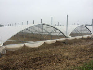 tunnel type greenhouse