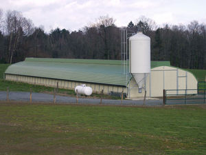 versatile barn