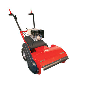 push lawn-mower 1
