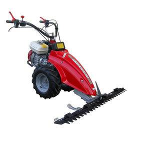 push lawn-mower / diesel