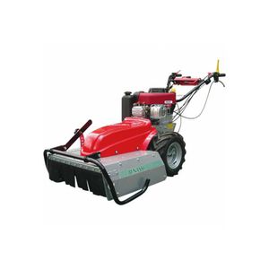 push lawn-mower 1