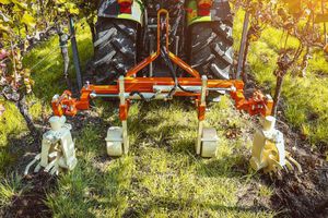 cultivating tool carrier arm / for vineyards