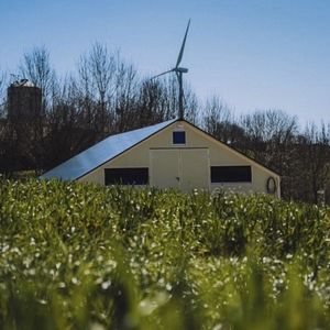 professional livestock building