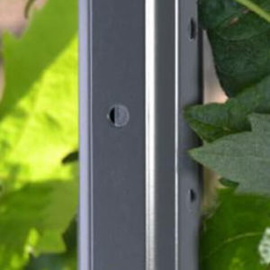 trellising post