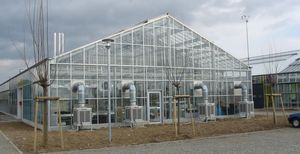 venlo greenhouse