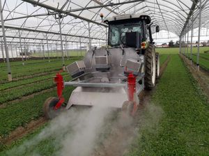 thermal weeder