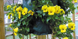 planting bag