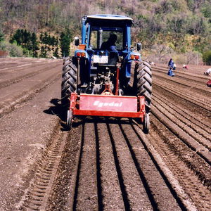 mouldboard plow