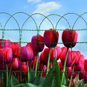 fencing metal mesh