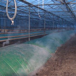 greenhouse film