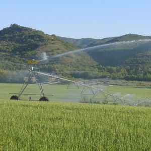 ditch-fed irrigation booms / hose-fed / 4-wheel / hippodrome