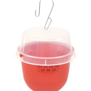 pheromone trap trap