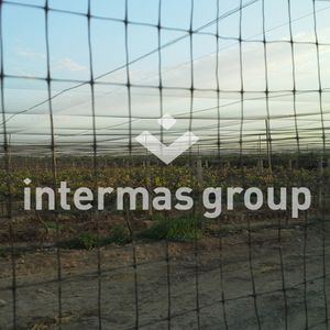 anti-bird netting / polyethylene / for arboriculture
