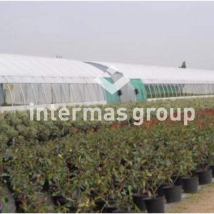 greenhouse sheeting