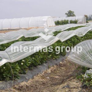 low-tunnel sheeting