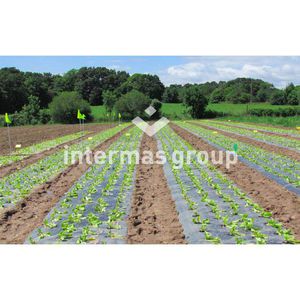 soil cover sheeting