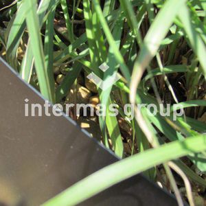 soil cover sheeting