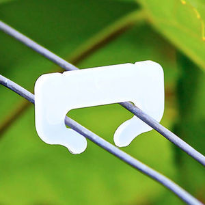 vineyard staple