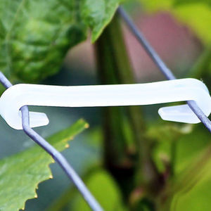 vineyard staple