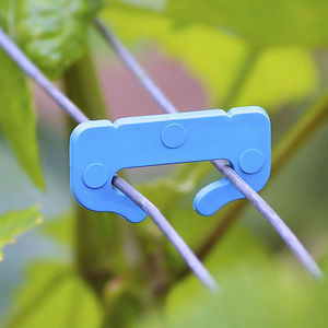 vineyard staple