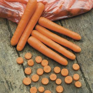 leaf blight resistant carrot seeds