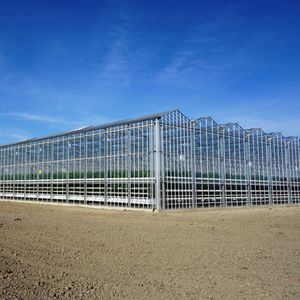 venlo greenhouse