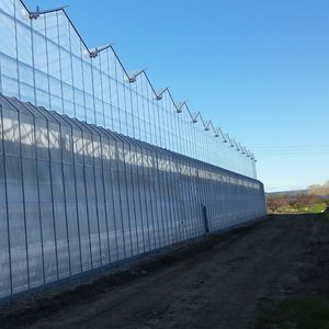 venlo greenhouse
