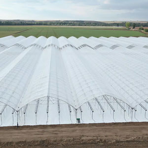 tunnel type greenhouse