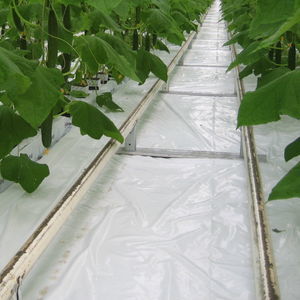 greenhouse sheeting