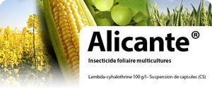 against aphids insecticide
