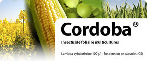 against aphids insecticide